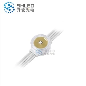 22 mm LED Pixel Dot Gevelverlichting